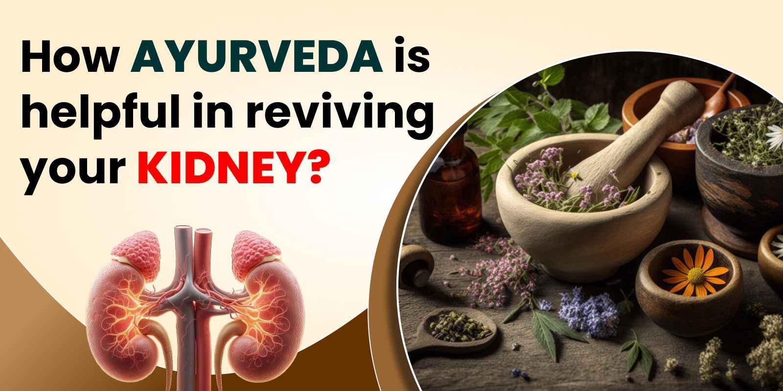 How Ayurveda is helpful in reviving your kidney?